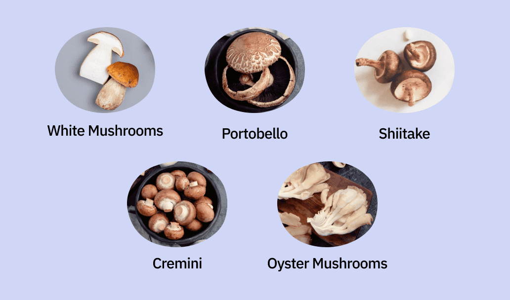 types of mushrooms