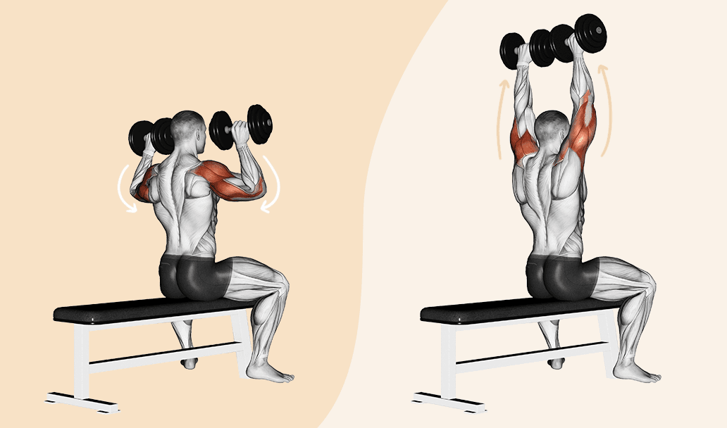 Seated dumbbell press | Shutterstock